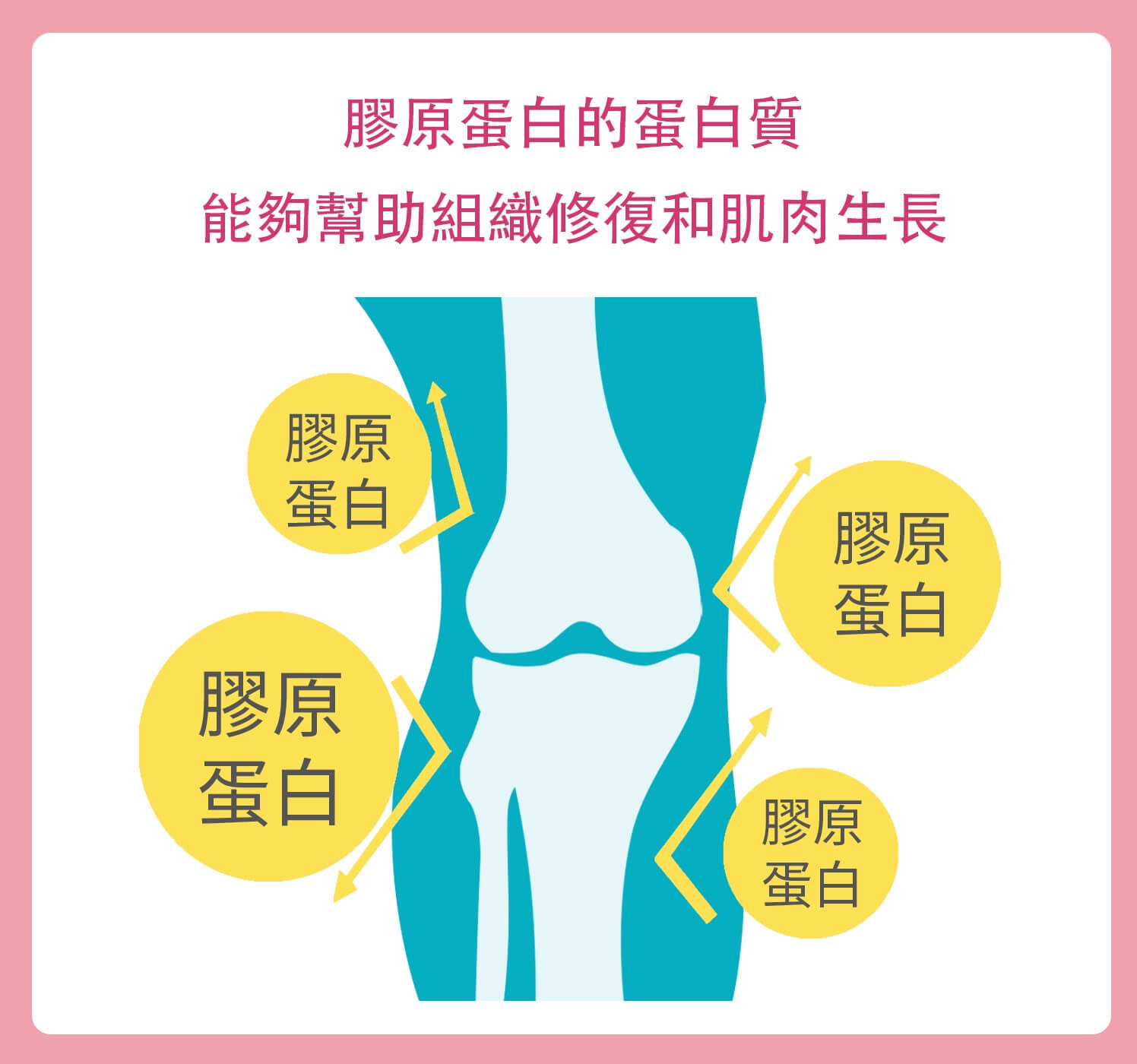 魚鱗膠原蛋白,水解膠原蛋白,膠原蛋白食物,膠原蛋白推薦,膠原蛋白粉,宜禾豐膠原蛋白,北極星Polestar 魚鱗膠原蛋白,水解膠原蛋白,膠原蛋白食物,膠原蛋白推薦,膠原蛋白粉,宜禾豐膠原蛋白,北極星Polestar